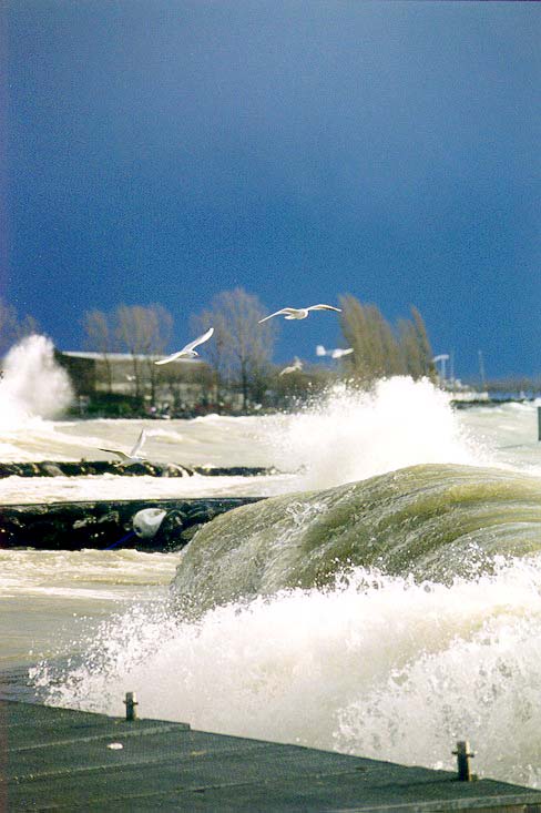 Suisse/Leman/Storm-Tempete/19991226/temp9917.jpg