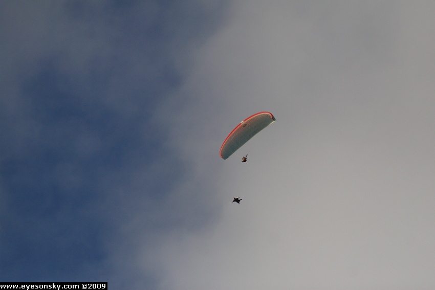 Fly-Parapente/Vertigo/2009/Part2/IMG_5437.JPG