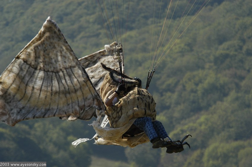 Fly-Parapente/icare/2003/part1/DSC_3410.JPG