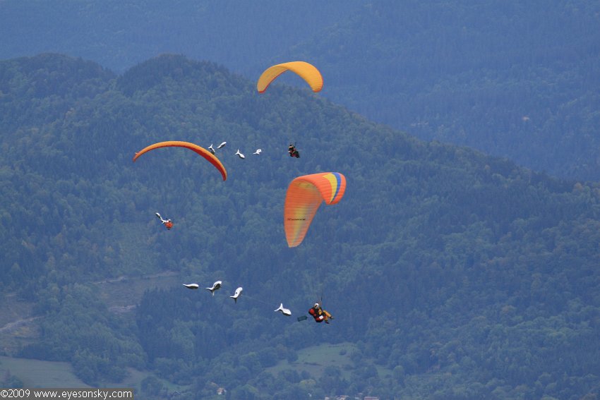 Fly-Parapente/icare/2009/part5/IMG_8623.jpg