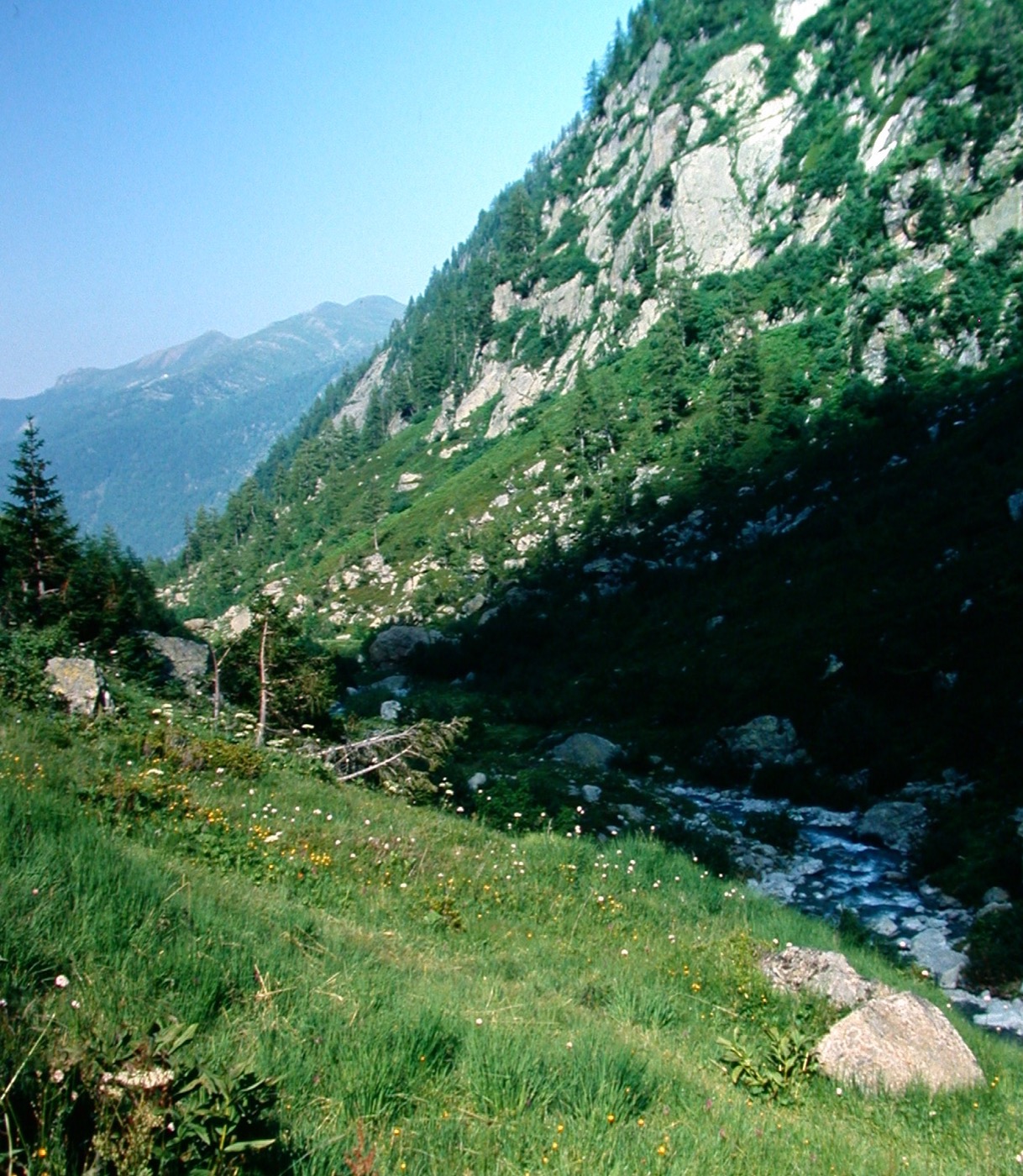 HauteSavoie/Buet/DSCN6062.jpg