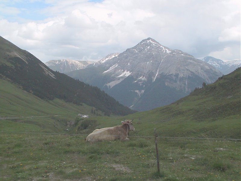 Suisse/Grisons/AlbulaPass/20010710/113-1327_imgg.jpg