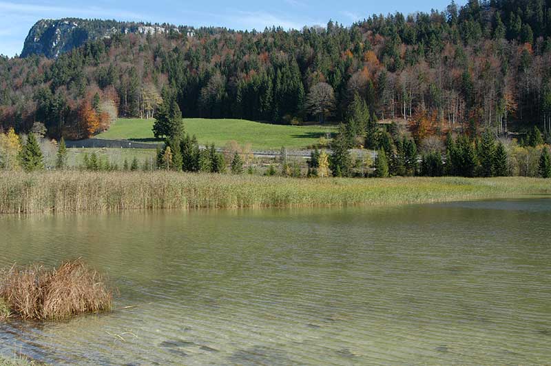 Suisse/Jura/20022010/DSC_1797g.jpg
