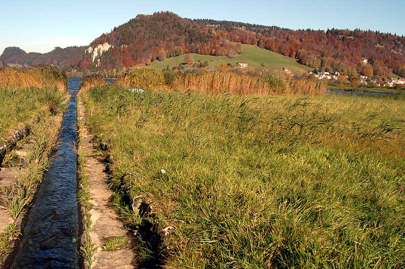 Suisse/Jura/20022010/DSC_1830g.jpg