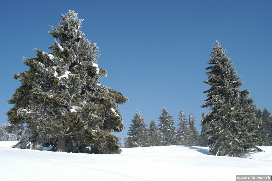 Suisse/Jura/20030215/DSC_4130.jpg
