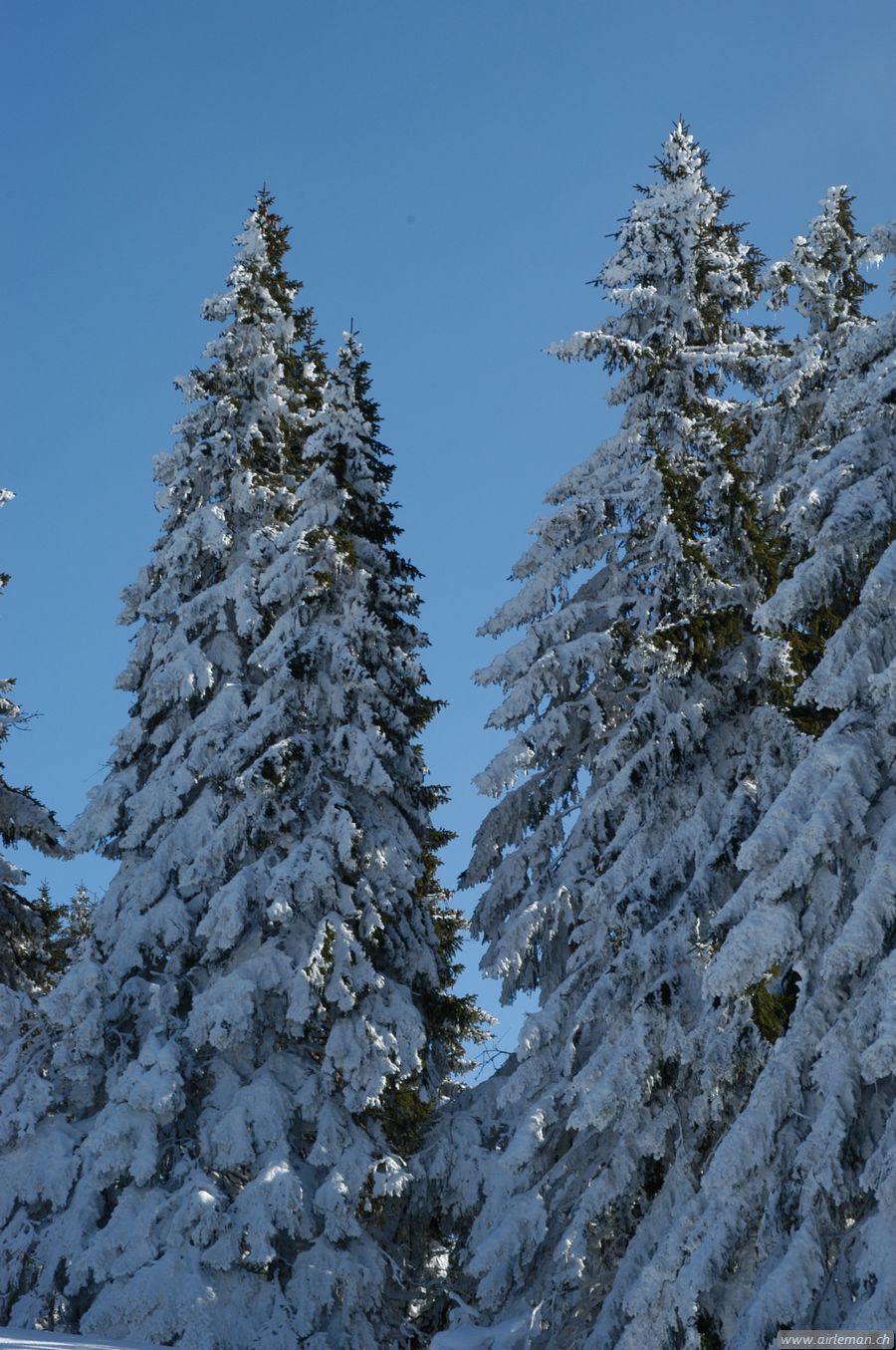 Suisse/Jura/20030215/DSC_4131.jpg