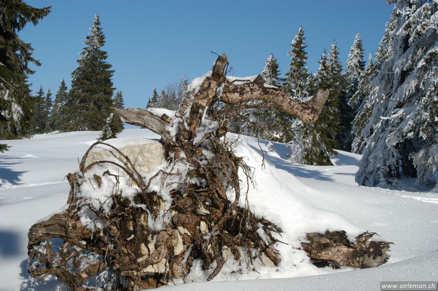 Suisse/Jura/20030215/DSC_4159.jpg