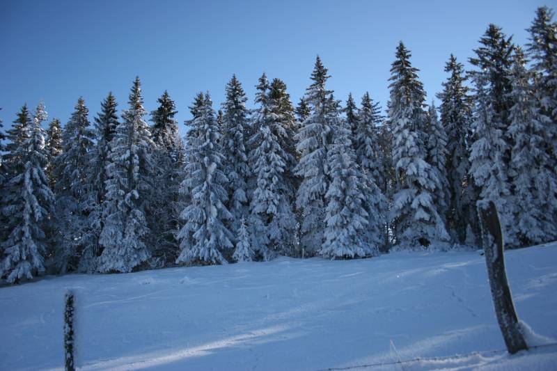 Suisse/Jura/LacdeJoux/20071224/IMG_7453.jpg