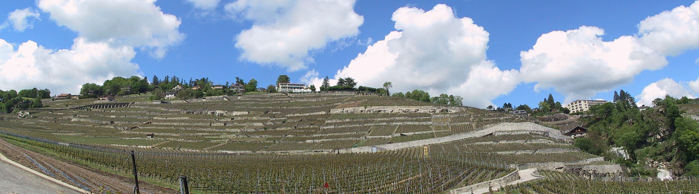 Suisse/Leman/Lavaux/pano1.jpg