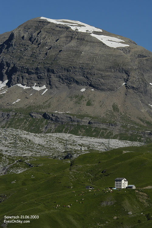 Suisse/Valais/Sanetsch/20030621/DSC_1407g.jpg