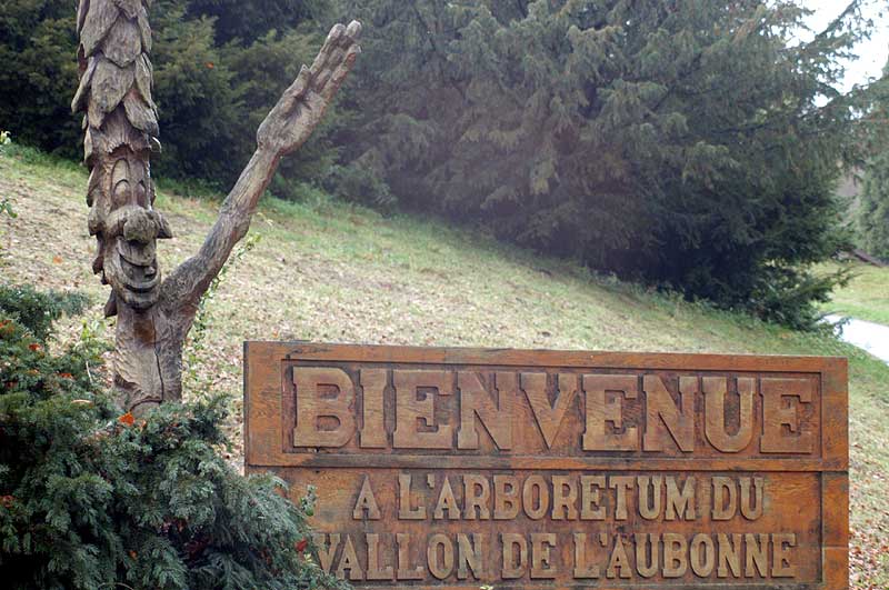 Suisse/Vaud/Aubonne/20021103/DSC_2216g.jpg
