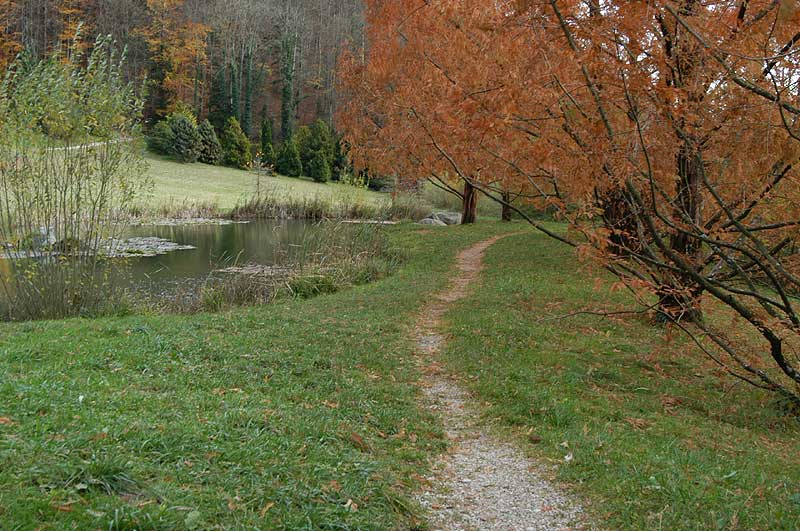 Suisse/Vaud/Aubonne/20021103/DSC_2280g.jpg