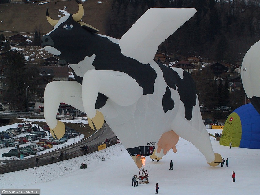 Suisse/Vaud/ChateauDoex/20020119/Part1/IMG_3803.jpg