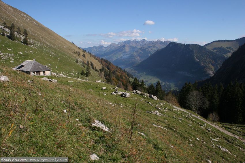Suisse/Vaud/Jaman/20051011/IMG_2388.jpg