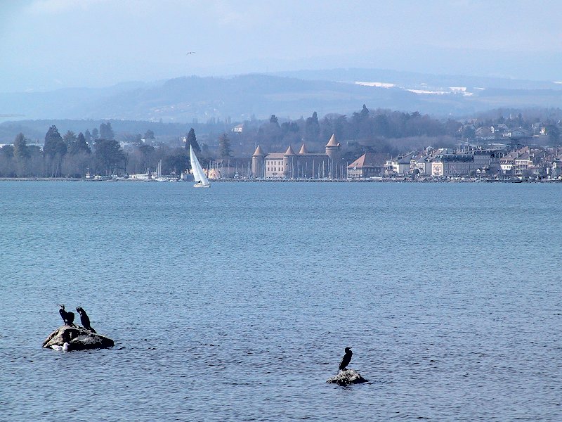 Suisse/Vaud/Preverenges/Divers/imgg_3983.jpg