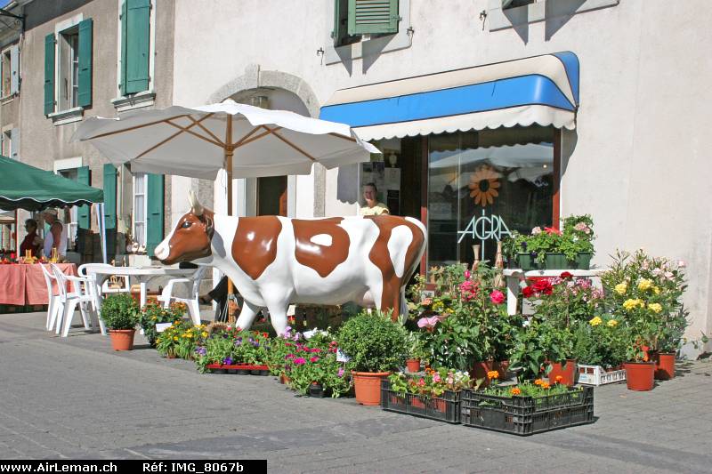 Suisse/Vaud/Preverenges/Fete/2008/part3/IMG_8067b.jpg