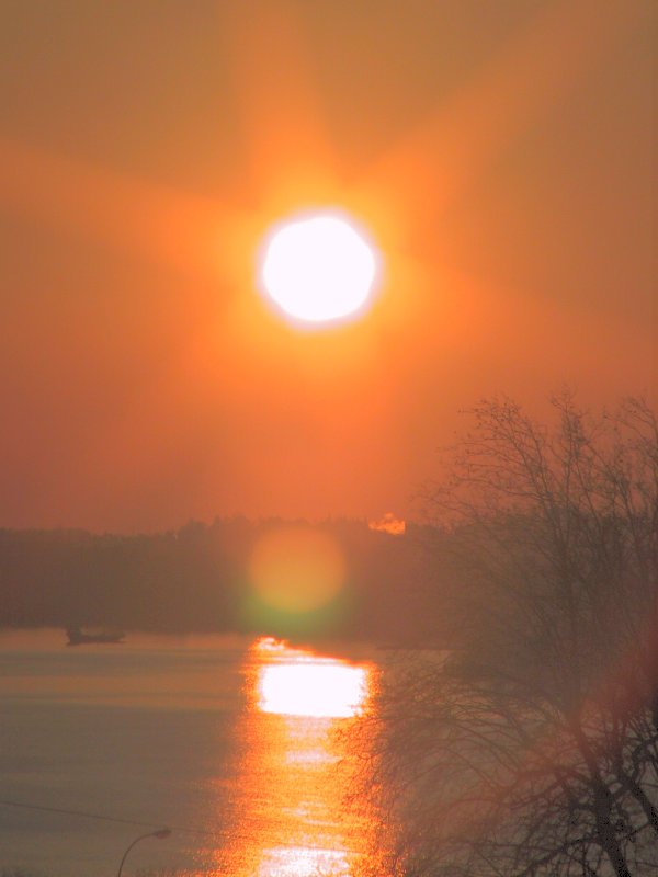 Suisse/Vaud/Preverenges/Soleil/2001/imgg_3236.jpg