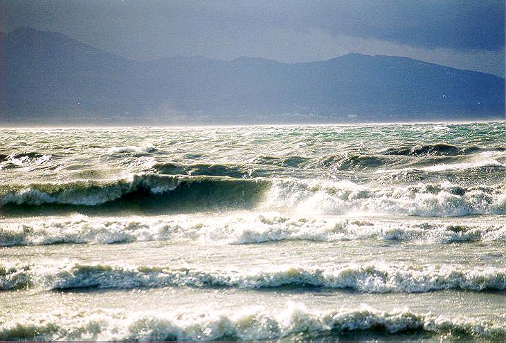 Suisse/Vaud/Preverenges/Storm-Tempete/19991226/temp9902.jpg
