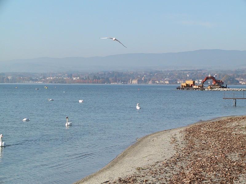 Suisse/Vaud/Preverenges/ile/20011030/130-3012_imgg.jpg