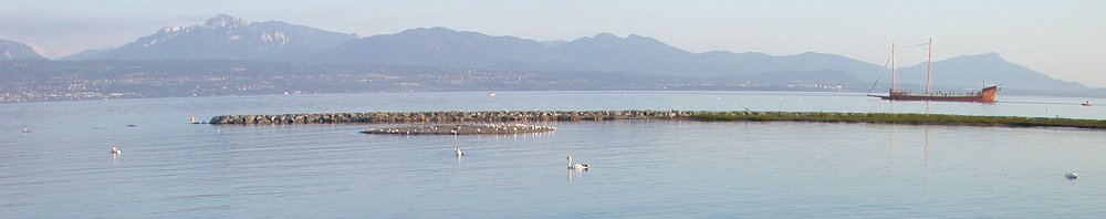 Suisse/Vaud/Preverenges/ile/20020722/Dscn5571g.jpg